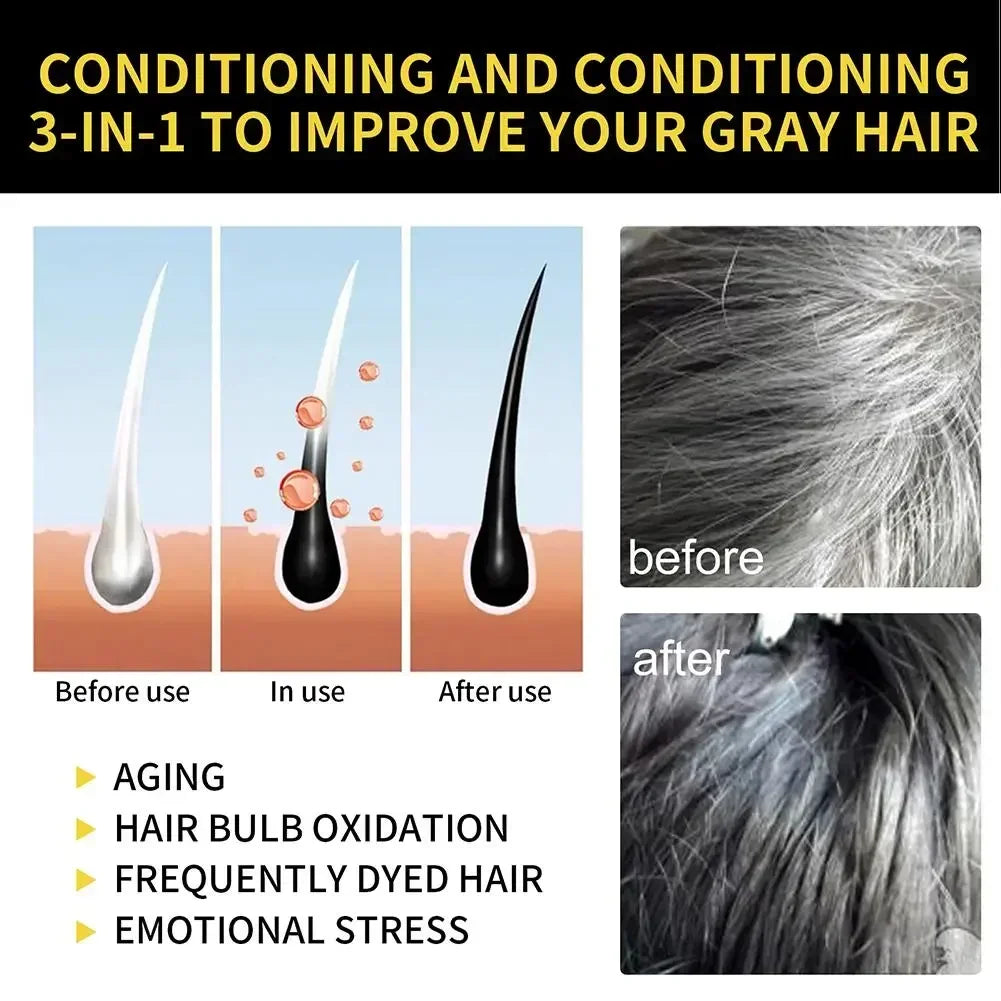 3 in 1 Natural Herbal Hair Dye Shampoo